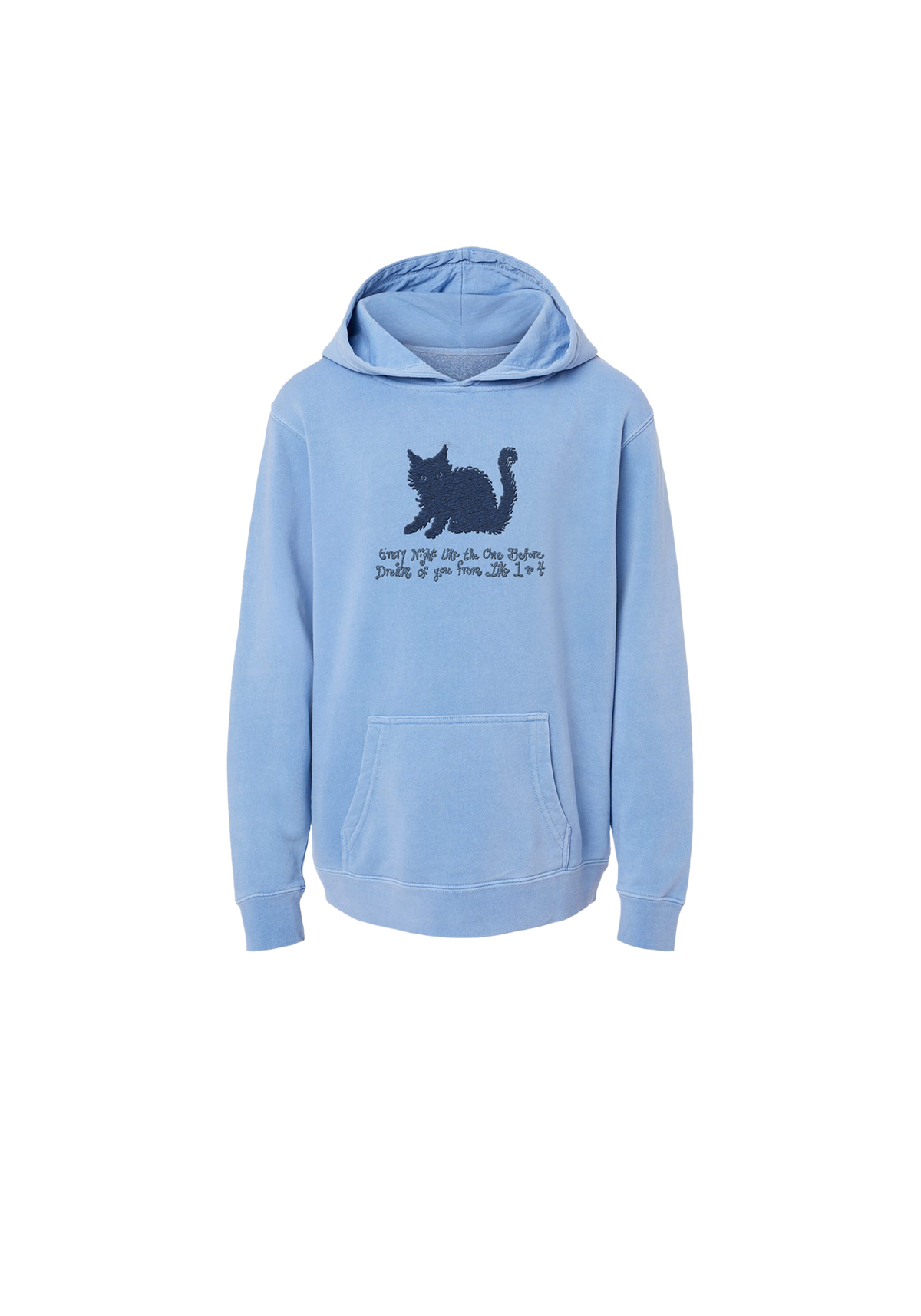 bodega cat embroidered youth hoodie