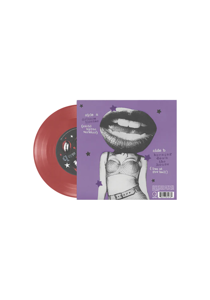 drivers license / burning down the house 7" vinyl back