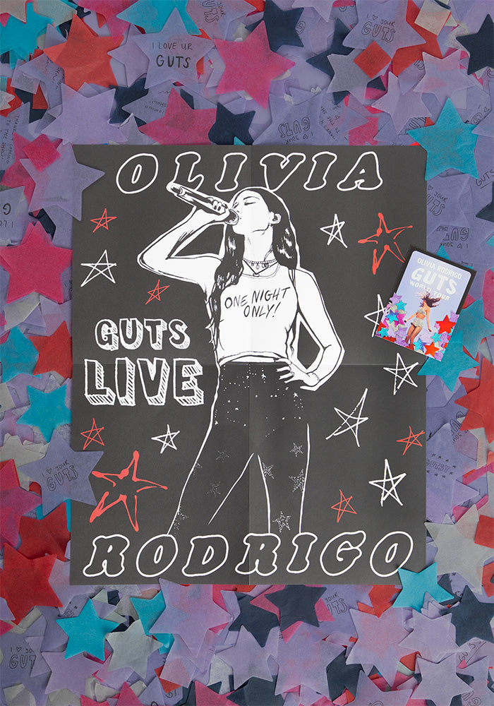 GUTS world tour book poster 2